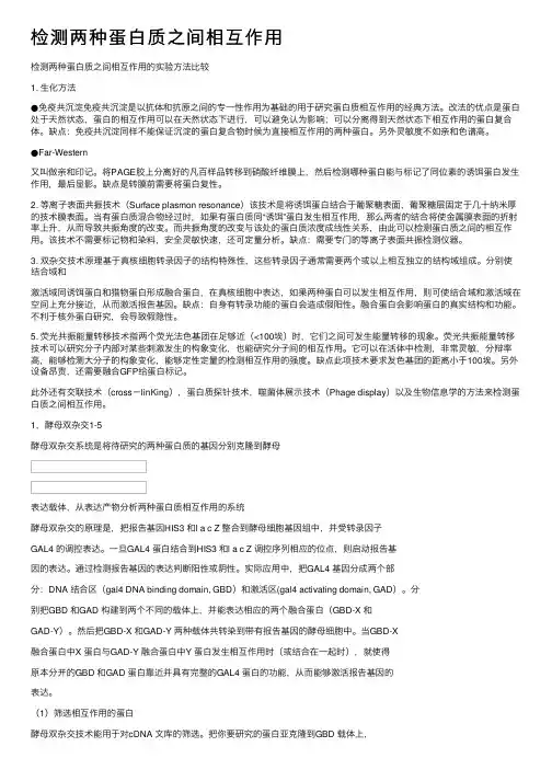 检测两种蛋白质之间相互作用