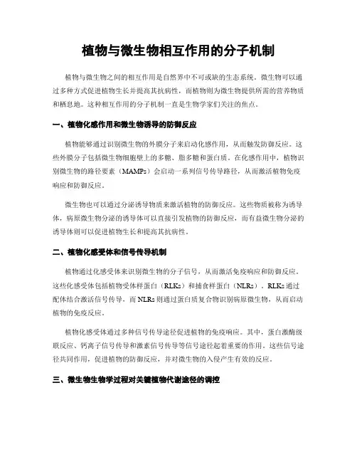 植物与微生物相互作用的分子机制