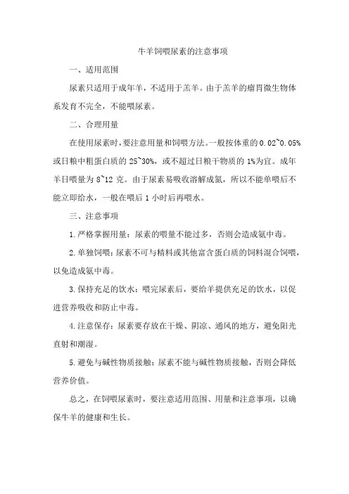 牛羊饲喂尿素的注意事项
