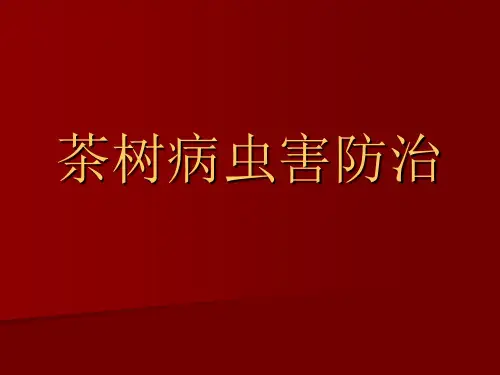 茶树病虫害防治课件_1 昆虫基础知识.ppt