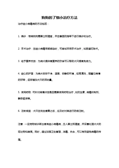 狗狗的了细小治疗方法