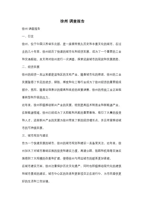 徐州 调查报告