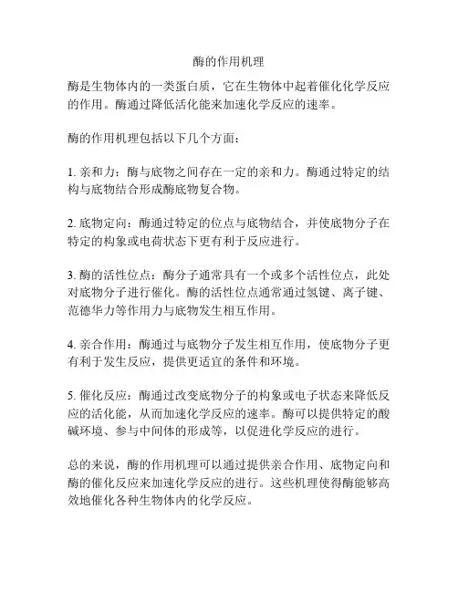 酶的作用机理