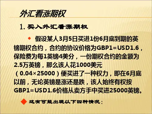 外汇期权案例