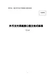 境内外币支付系统报文格式标准