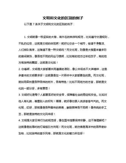 文明和文化的区别的例子