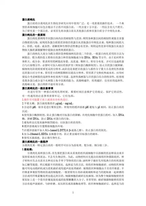 蛋白质纯化
