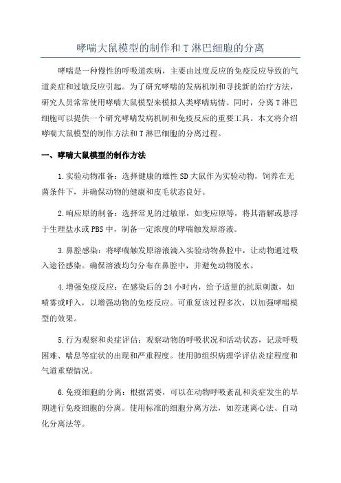 哮喘大鼠模型的制作和T淋巴细胞的分离