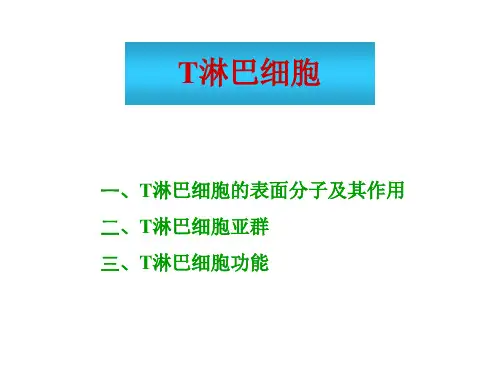 9 T细胞