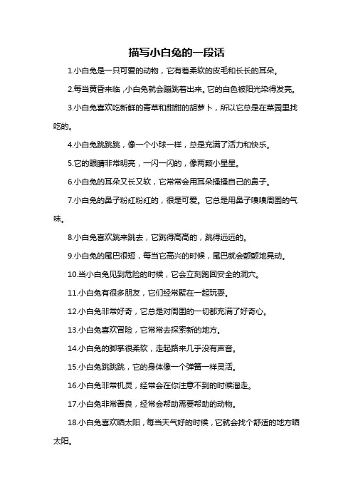 描写小白兔的一段话