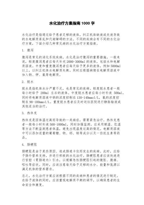 水化治疗方案指南