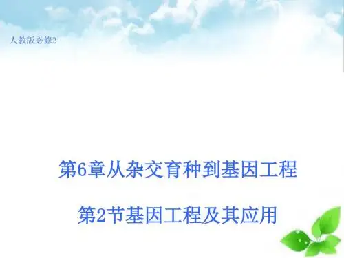 【生物】6.2  基因工程及其应用 ppt课件1(必修2)