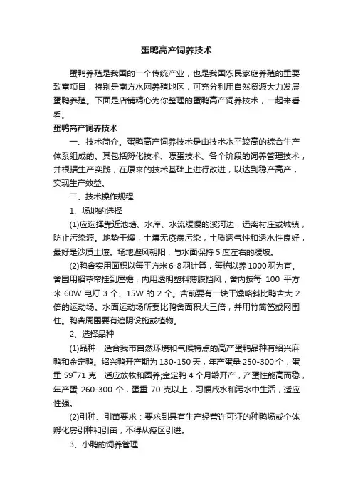 蛋鸭高产饲养技术