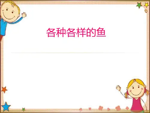 幼儿园各种各样的鱼