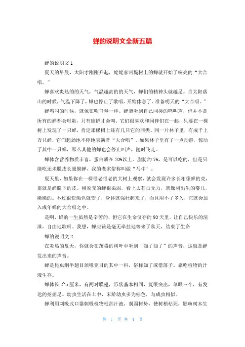 蝉的说明文全新五篇