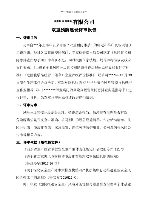 双体系建设评审报告