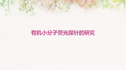 有机小分子荧光探针的研究