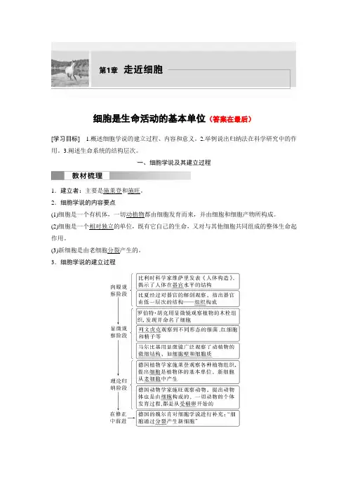 高中生物(必修第一册 人教版)讲义教案：细胞是生命活动的基本单位(含答案)