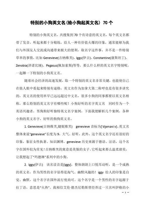 特别的小狗英文名(给小狗起英文名) 70个