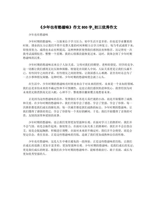 《少年也有愁滋味》作文800字_初三优秀作文