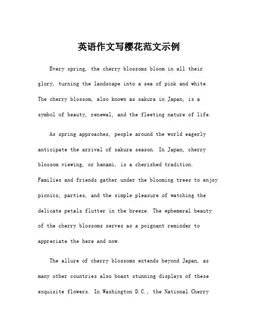 英语作文写樱花范文示例