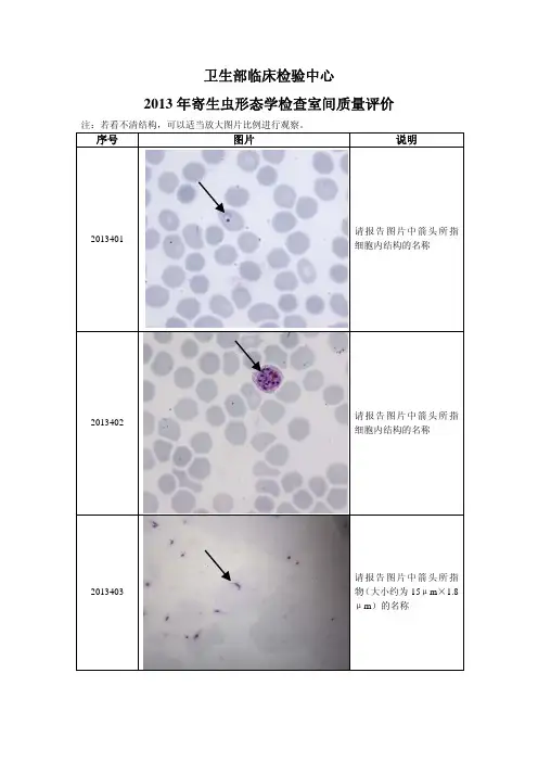 2013年卫生部寄生虫形态学室间质评及正确答案