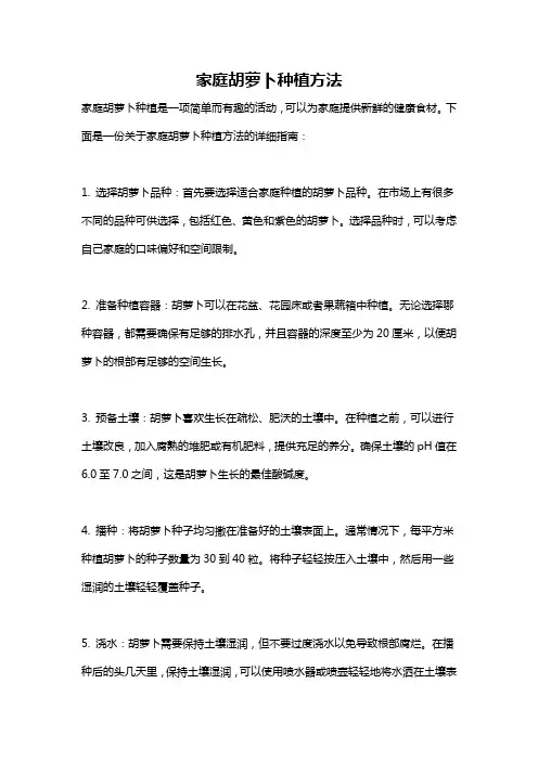 家庭胡萝卜种植方法