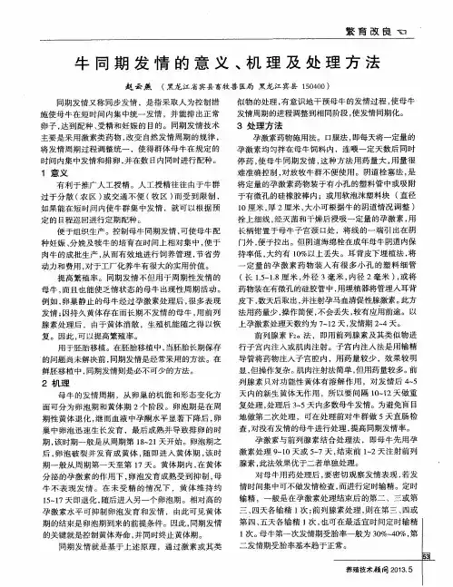 牛同期发情的意义、机理及处理方法