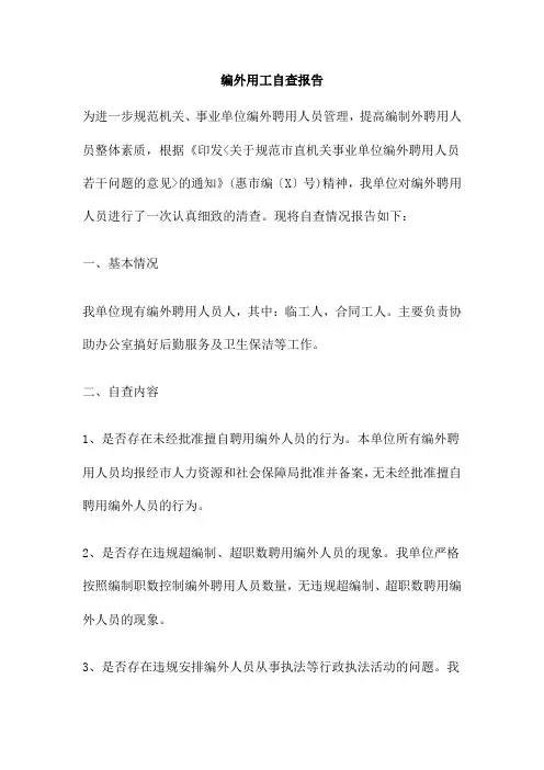编外用工自查报告