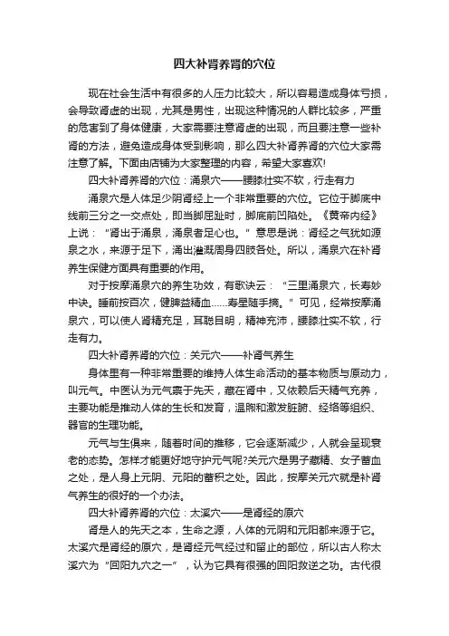 四大补肾养肾的穴位