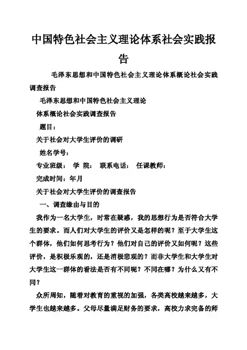 中国特色社会主义理论体系社会实践报告