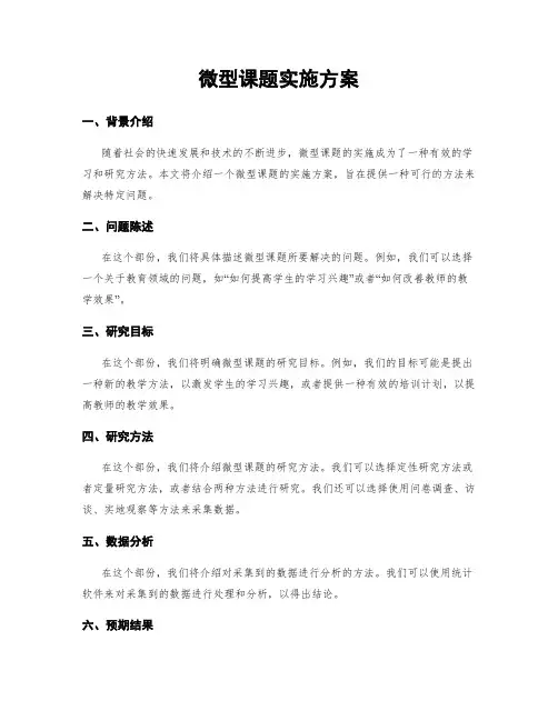 微型课题实施方案