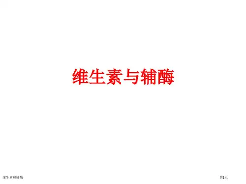 维生素和辅酶