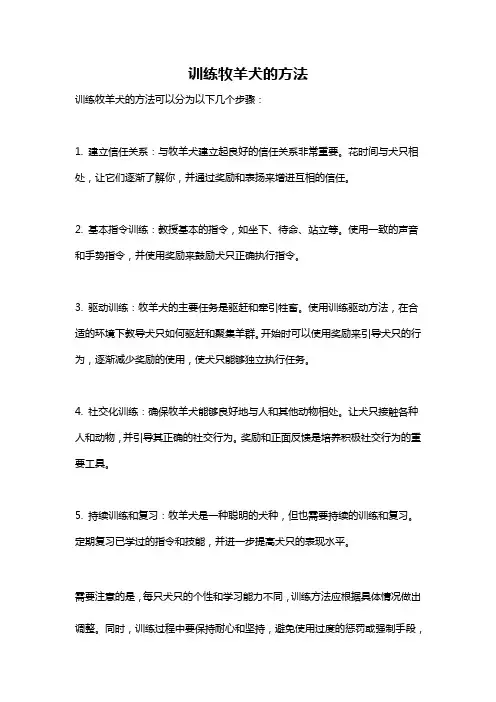训练牧羊犬的方法