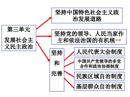 高一政治社会主义民主政治的特点和优势