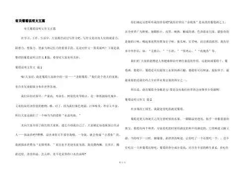 有关葡萄说明文五篇
