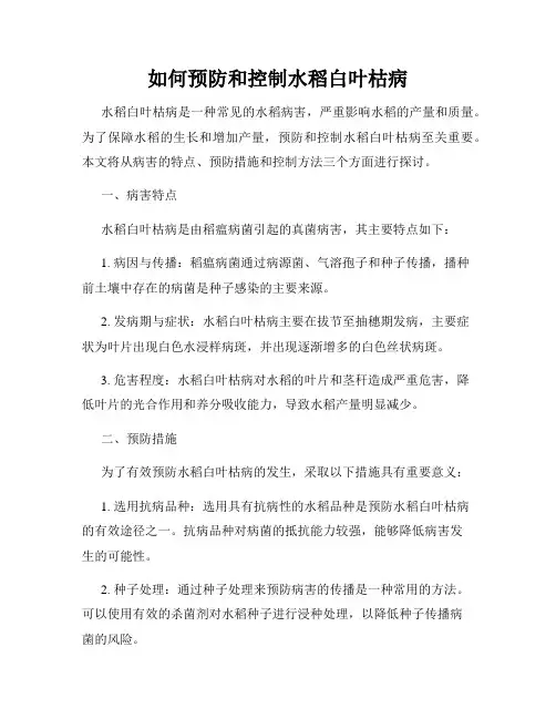 如何预防和控制水稻白叶枯病