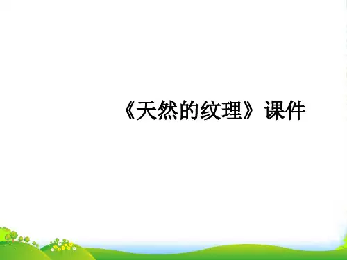人教版三年级美术：《天然的纹理》课件1