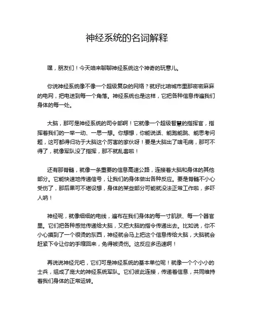 神经系统的名词解释