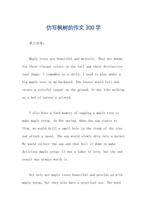 仿写枫树的作文300字
