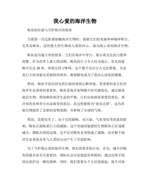 我心爱的海洋生物