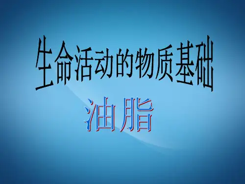 高二化学ppt课件 油脂课件