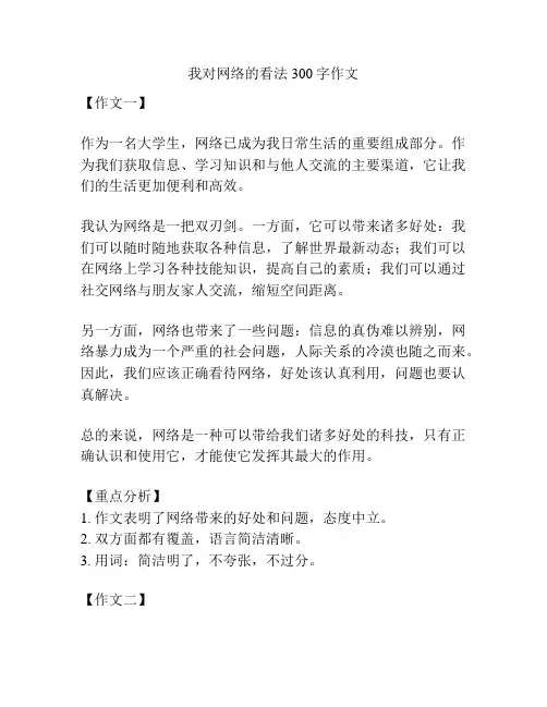 我对网络的看法300字作文
