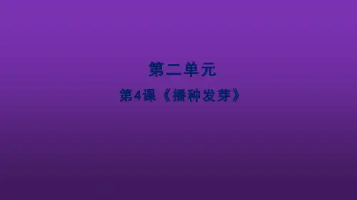 三年级下册科学_4《播种发芽》人教版ppt(2017)(14张)课件