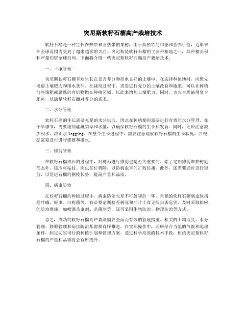 突尼斯软籽石榴高产栽培技术