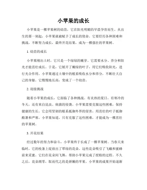 小苹果的成长