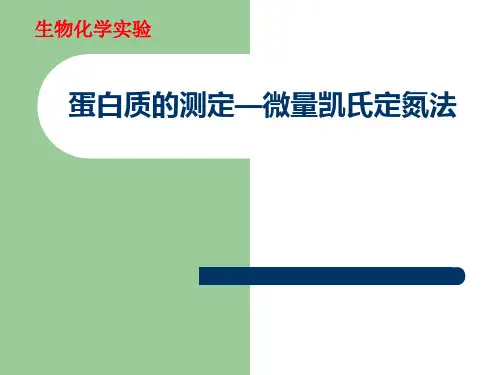 实验八蛋白质的测定-凯氏定氮法