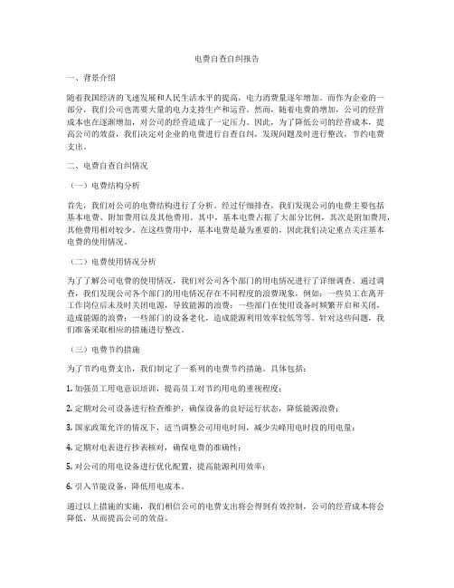 电费自查自纠报告
