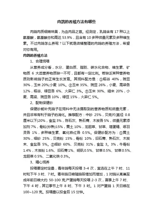 肉鸽的养殖方法有哪些