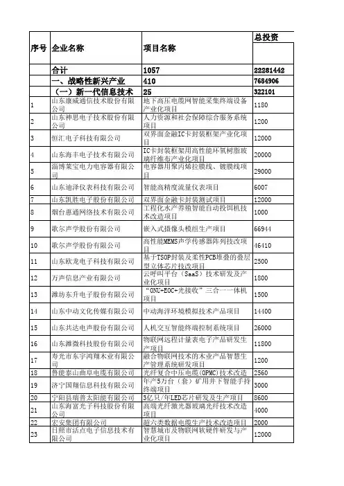 2016年山东重点项目
